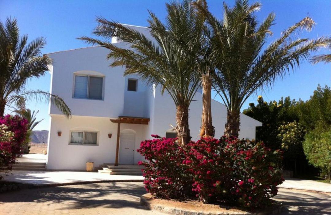 Gouna Hurghada Exterior photo